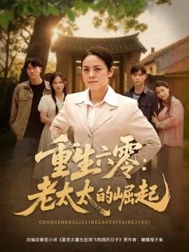 重生六零：老太太的崛起在线观看