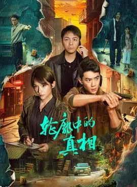 轮廓中的真相在线观看