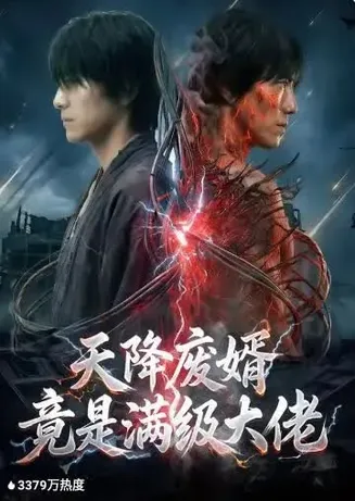 天降废婿竟是满级大佬在线观看