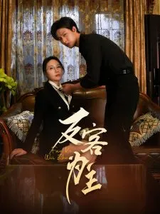 七年谜情＆反客为主在线观看