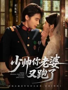 少帅你老婆又跑了在线观看