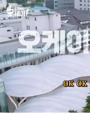 ok？ok！