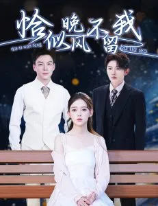 恰似晚风不留我＆弃他如风在线观看