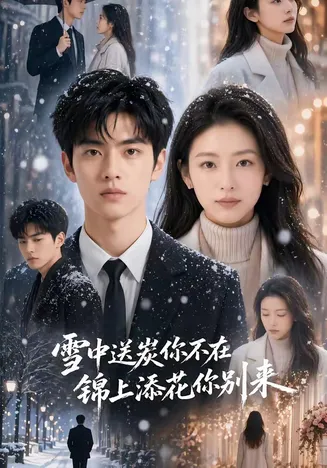 雪中送炭你不在，锦上添花你别来在线观看