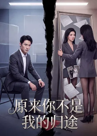 原来你不是我的归途在线观看