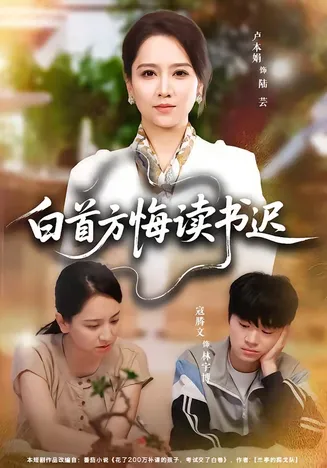 白首方悔读书迟在线观看