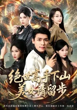 绝世高手下山，美女请留步在线观看