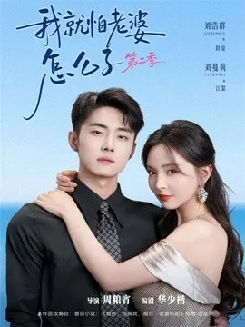 我就怕老婆怎么了第二季在线观看