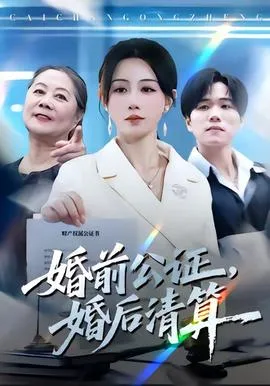 婚前公证，婚后清算在线观看