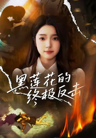 黑莲花的终极反击在线观看