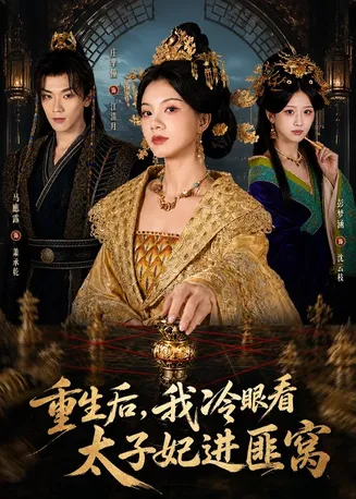 重生后，我冷眼看太子妃进匪窝在线观看