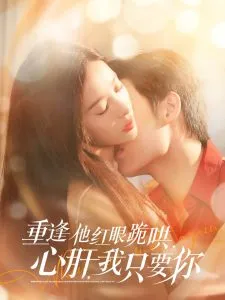 重逢他红眼跪哄，心肝，我只要你在线观看