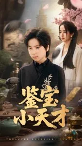 鉴宝小天才在线观看
