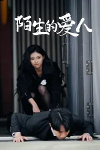 陌生的爱人在线观看