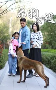 养狗应有道在线观看