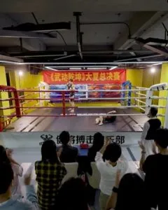 武驰人生2之飓风营救在线观看