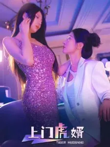 上门虎婿在线观看