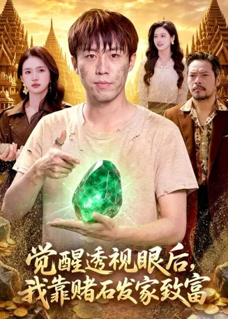 觉醒透视眼后，我靠赌石发家致富在线观看