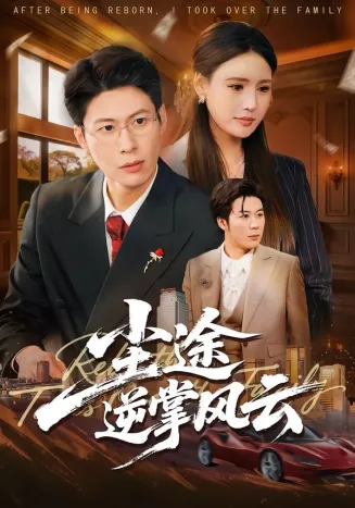 尘途逆掌风云在线观看