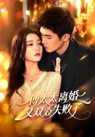傅太太离婚又双叒失败了在线观看
