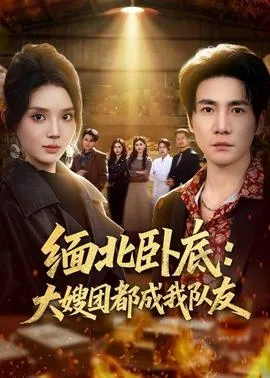 缅北卧底：大嫂团都成我队友在线观看