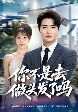 你不是去做头发了吗在线观看