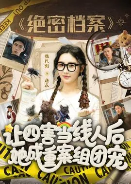 让四害当线人后，她成重案组团宠在线观看