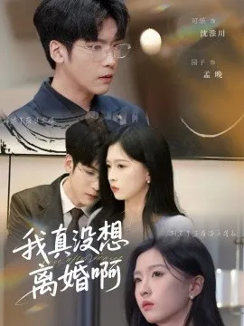 我真没想离婚啊在线观看