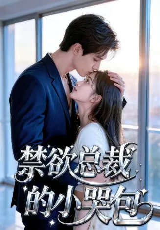 禁欲总裁的小哭包在线观看