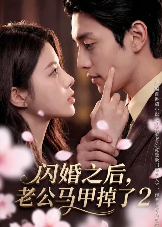 闪婚之后，老公马甲掉了2在线观看