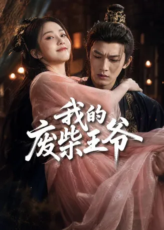 我的废柴王爷在线观看