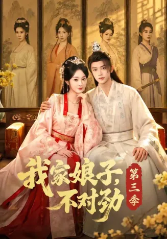 我家娘子，不对劲第三季在线观看