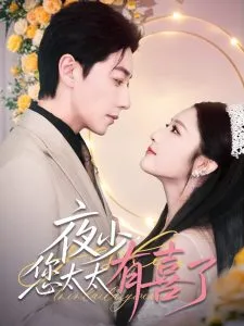 夜少，您太太有喜了在线观看