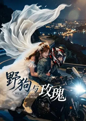 野狗与玫瑰在线观看