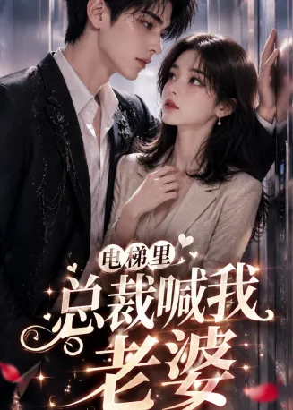 电梯里，总裁喊我老婆在线观看