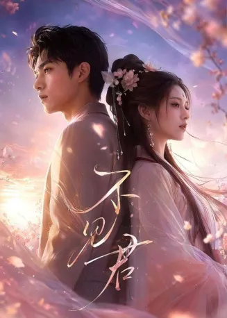 不见君在线观看