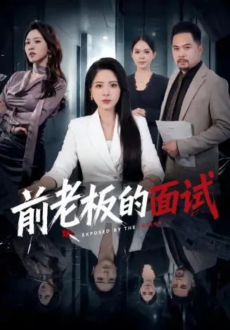 前老板的面试在线观看