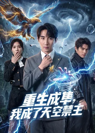 重生成隼,我成了天空禁主在线观看