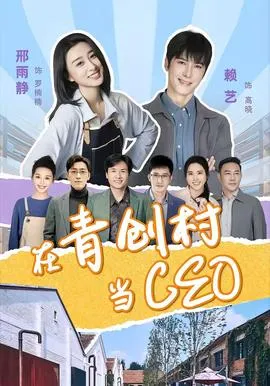 在青创村当CEO在线观看