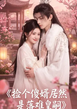 捡个傻婿居然是落难皇嗣