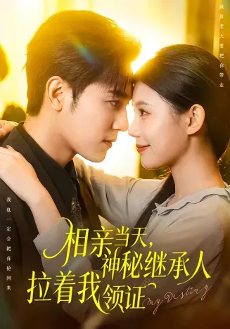 相亲当天,神秘继承人拉着我领证在线观看