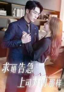 求婚告急上司为何那样在线观看