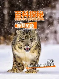 科探秘动物星球:高山上的白色精灵雪豹