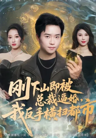 刚下山即被总裁逼婚,我反手横扫都市在线观看