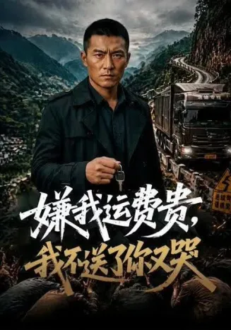 嫌我运费贵,我不送了你又哭在线观看