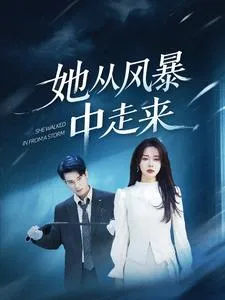 她从风暴中走来在线观看