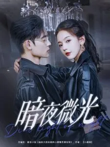 暗夜微光在线观看