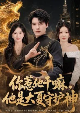 你惹他干嘛，他是大夏守护神在线观看