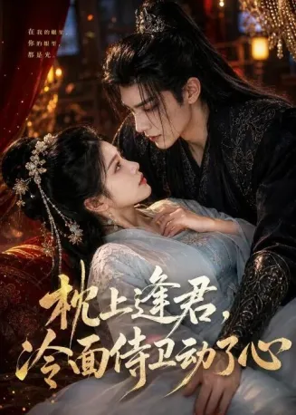 枕上逢君,冷面侍卫动了心