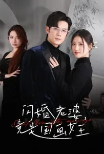 闪婚老婆竟是国画女王在线观看